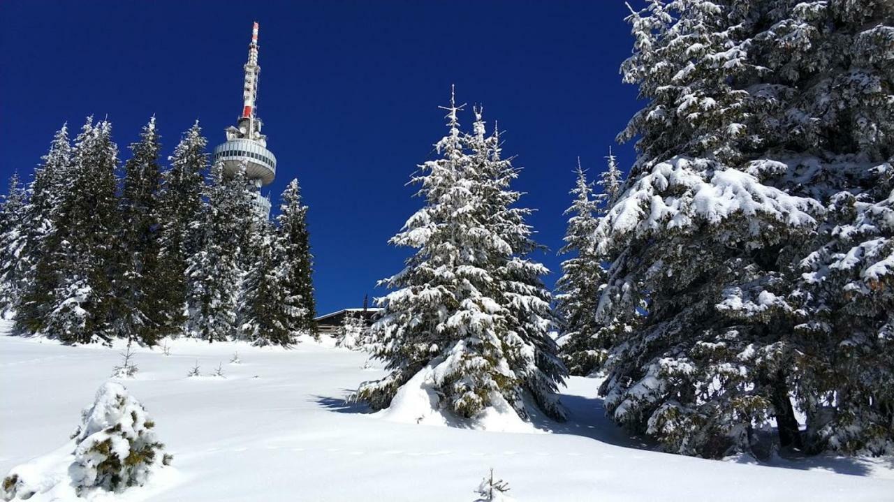 Igloo In The Woods - New, Warm And Inspiring Hotel Pamporovo Buitenkant foto